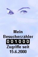 Der 1000. Zugriff