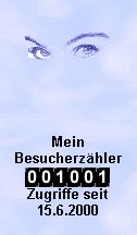 Der 1000. Zugriff