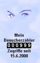 Der 999. Zugriff